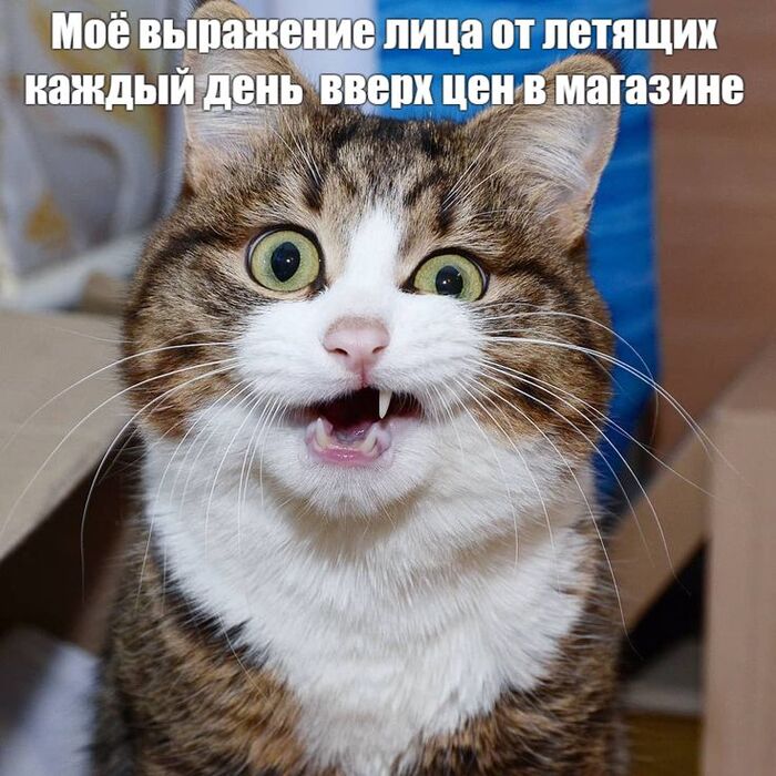      , ,  , ,  