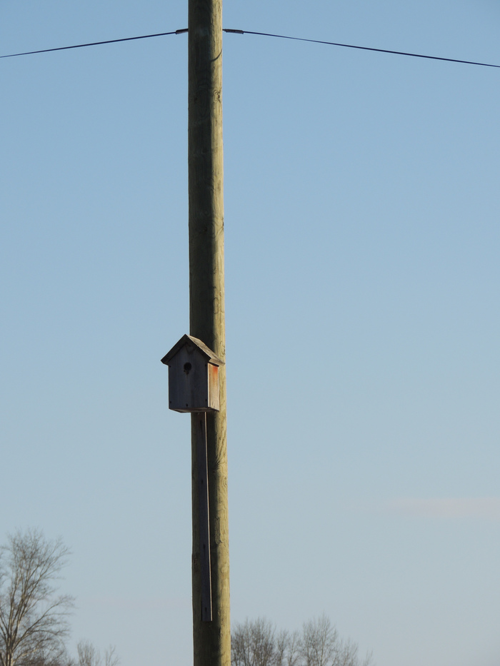Скворечник. Просто скворечник
