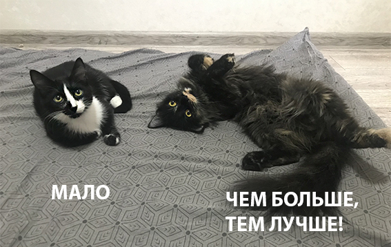 ��������: ������� ���� � ���� �������.