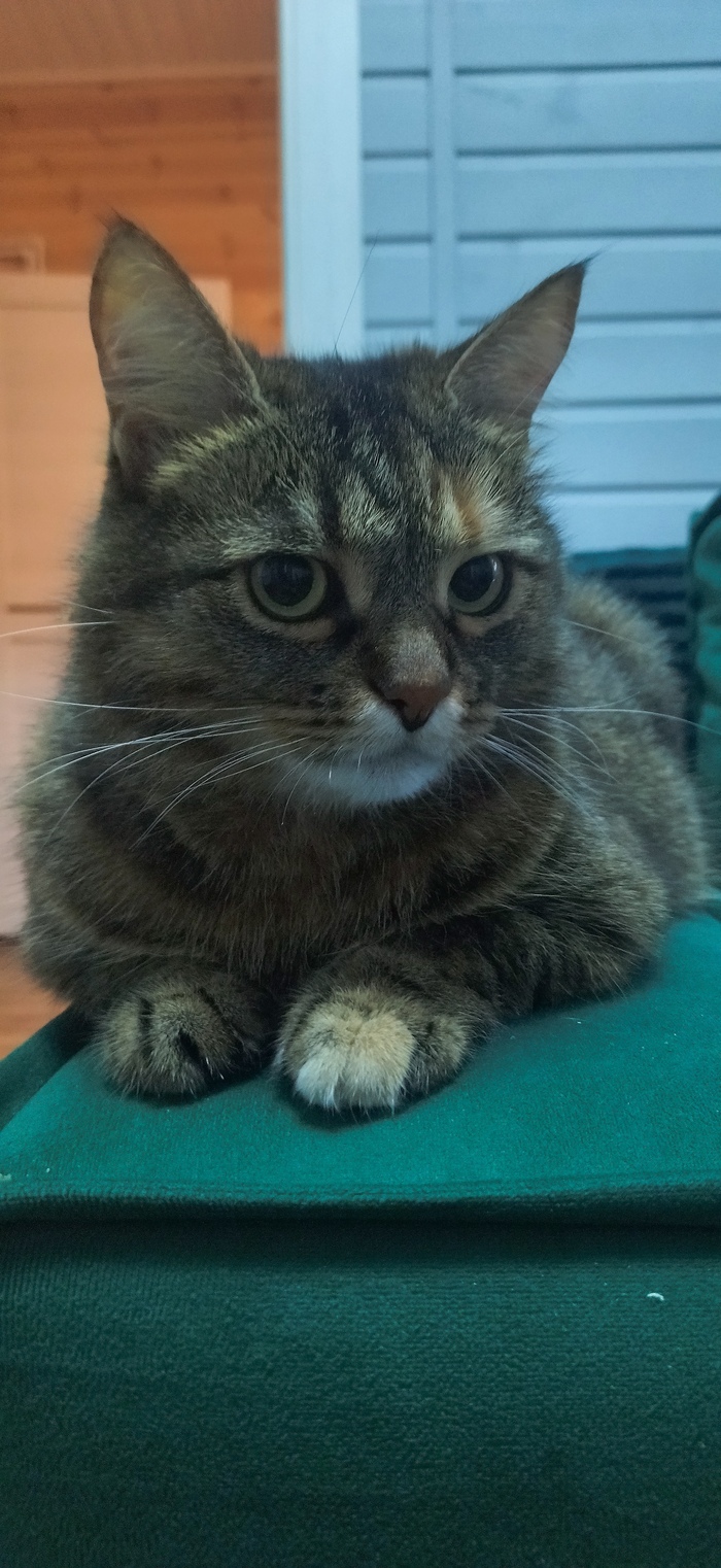    , , , ,  , , 