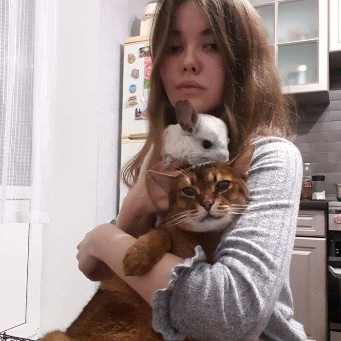   , , ,  , 