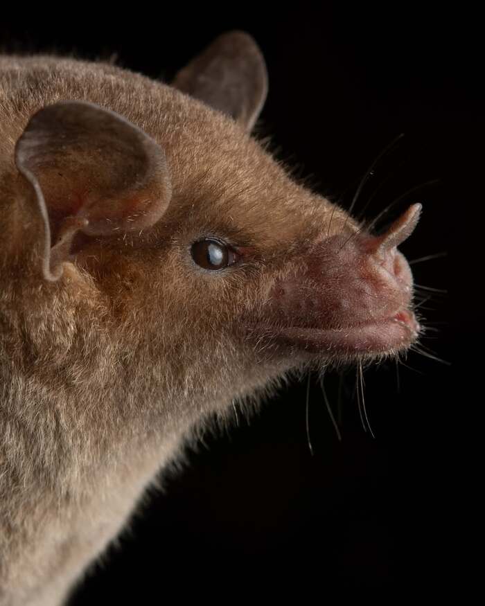    ,  , ,  ,  ,  ,  , 
