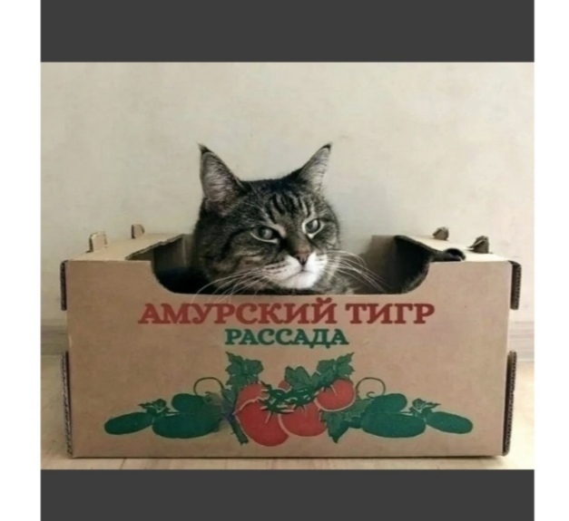      ,  (),  , , , , , , , , 