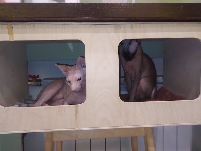     , , , 