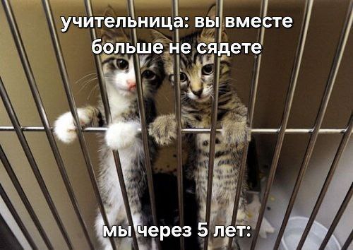 Вы вместе больше не сядете