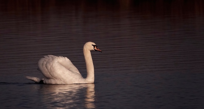 ����� ��������� ������ ��������. ����� �� � ��� ���-���� ������...