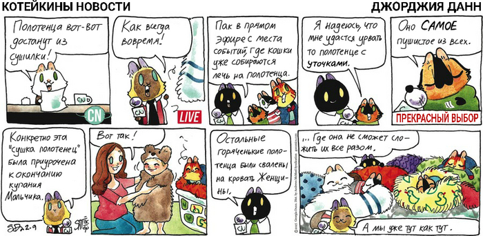 Котейкины Новости от 09.02.2025