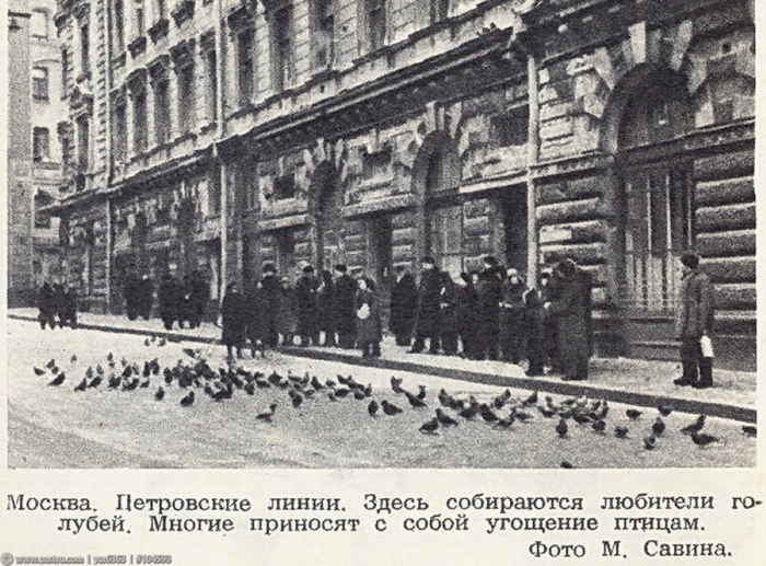 Из журнала "Огонек", 1954