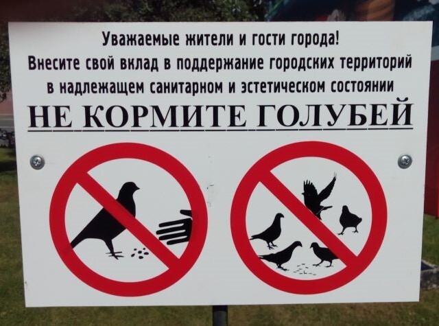 А может, все же попробовать организовать уборку территорий должным образом?