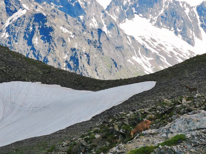 Это горные туры в горах моего любимого Кавказа, просто порадоваться, глядя на красоту :)