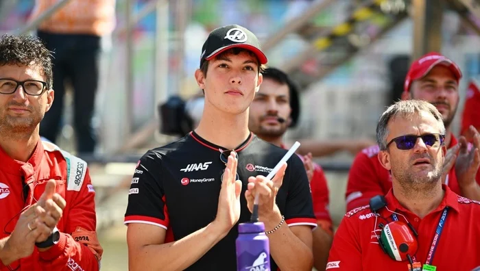 Formula 1 before the start of the 2025 championship. The main faces of the upcoming season. Part 2 - the second tier - My, Автоспорт, Race, Formula 1, Aston martin, Haas, Alpine, Pierre Gasly, Fernando Alonso, Commands, Participants, Longpost