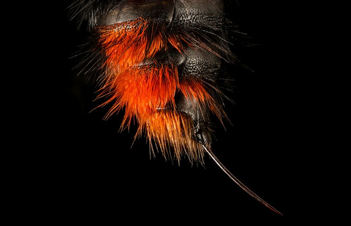 Зато моя иголка вас прокалывает на ура!