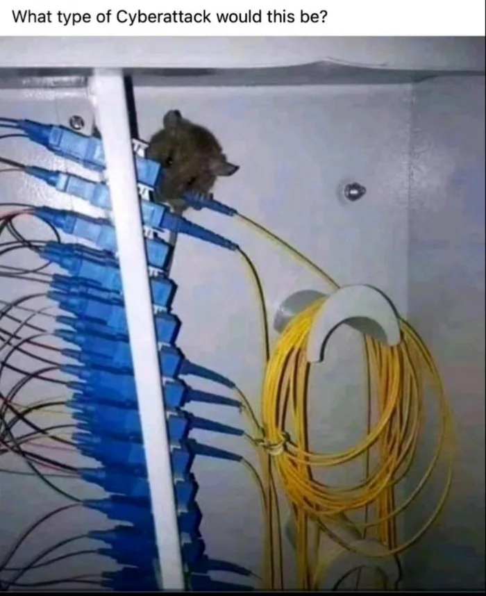 Pure MitM though... - Humor, IT humor, Information Security, Picture with text