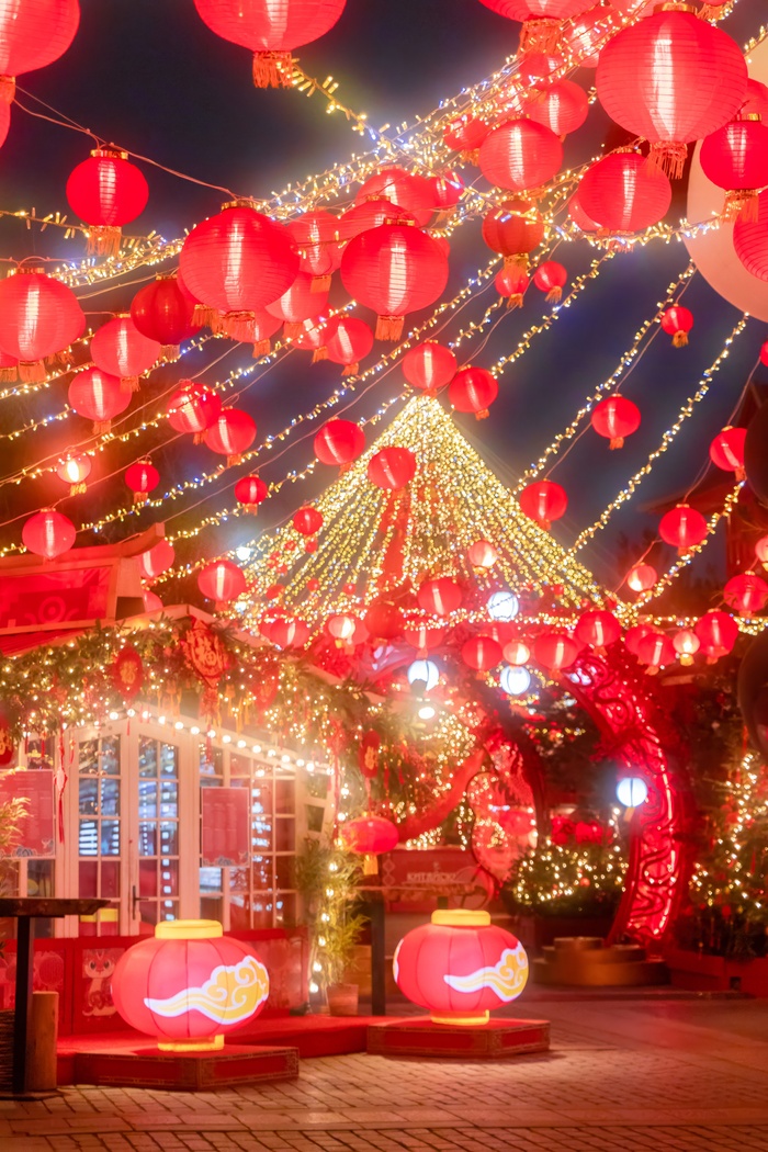 Китайский новый год 2025Манежная площадь