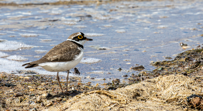 ����� ���. �� ��� ������� ������� ������. ������ �����.