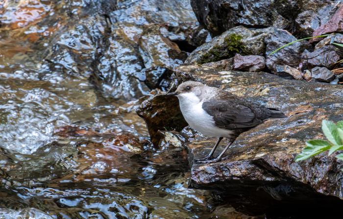 ������ ��� ������� �������. ����� � ������� � ������ ����, � ����� �������� � ���� � ����������.