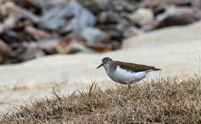 ����������. �������� ������ ������� � 2021� - ������ ����-�� �������� �� ������� ���� ���, ������, ����� ����, ����� ����� Inat, ��� ��� ����� � ����� ��� ���������� ��� ����� ���������. ����� �� ������ ��� �� ����� � ����.