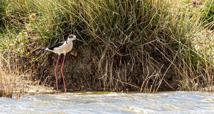 ����������. ���� ������ ��� ����� ���������, �� ����� �������� ����� � �� ���� �� ��������.