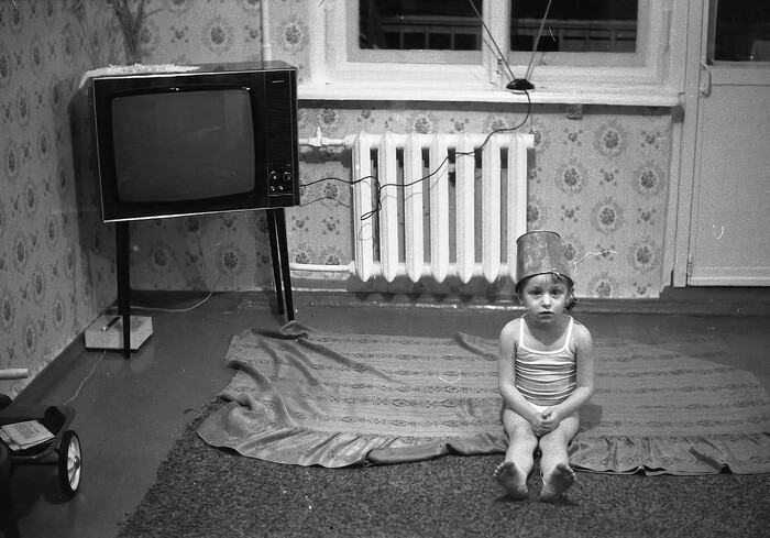  , 1981
