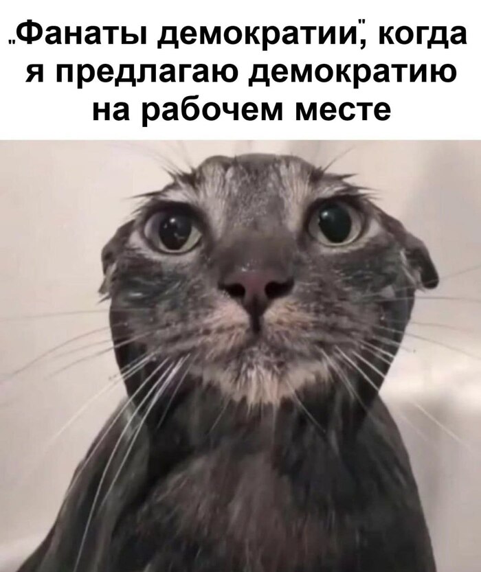     , , , , , ,   , 