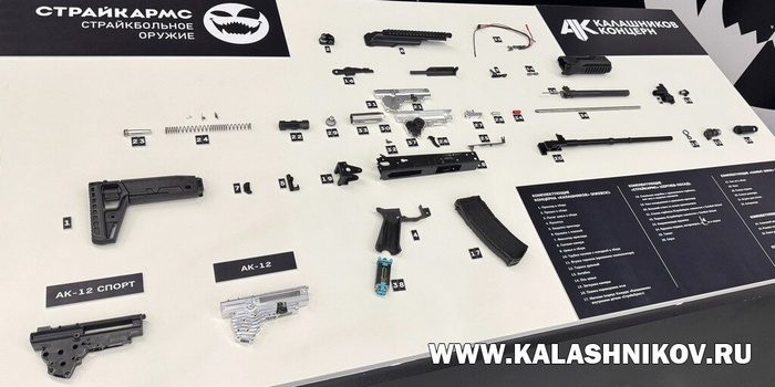    -12,      2025 (  ).    (94%)  