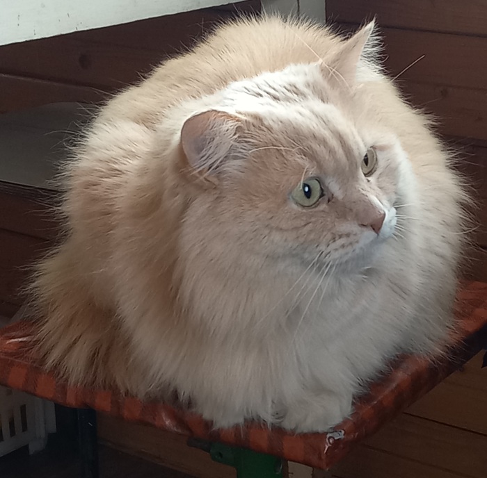 ������ � �������� ���������� ���� ����� � ����, � ����� �������� �� ������ � ������. 