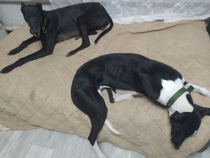 ������� �����: ��� ����������� ��������� ������