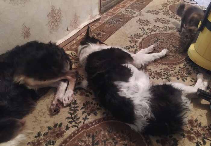 ������� �����: ��� ����������� ��������� ������