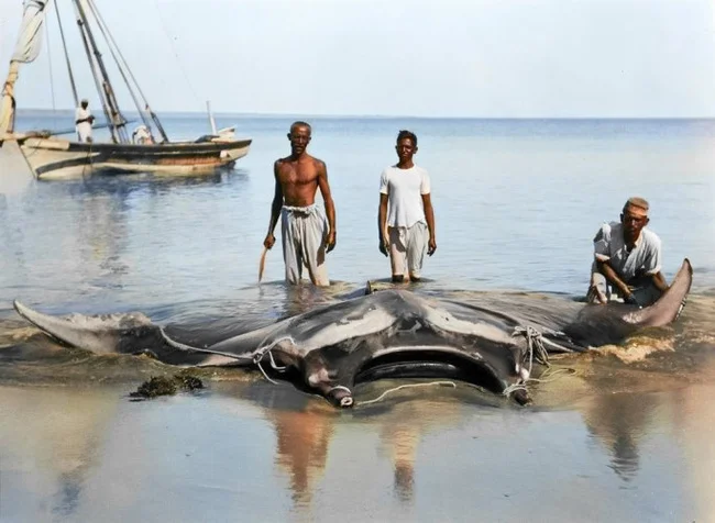 Необычные и интересные снимки из разных стран мира, сделанные в XX веке. 20 раскрашенных фотографий. Часть IV Историческое фото, Фотография, Старое фото, Мир, 20 век, Колоризация, Длиннопост