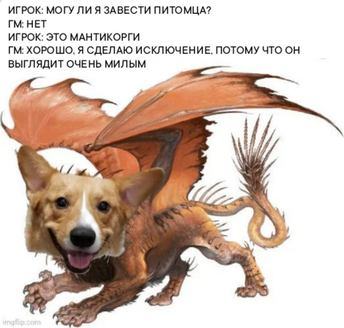    233 Dungeons & Dragons,   , ,  , , , DnD 5, ,   