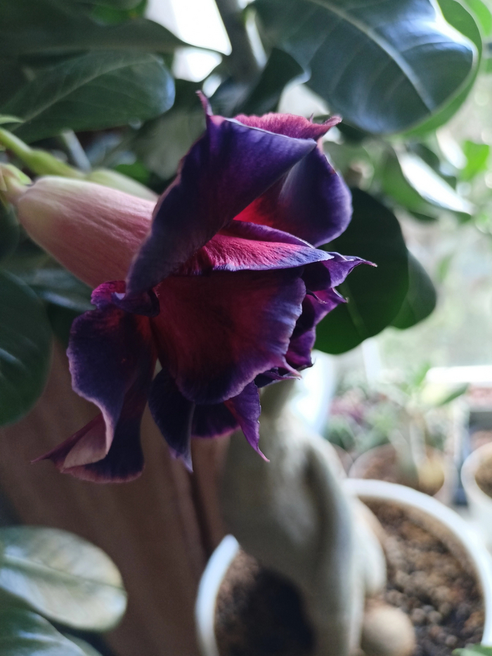 Новая коллекция 😍