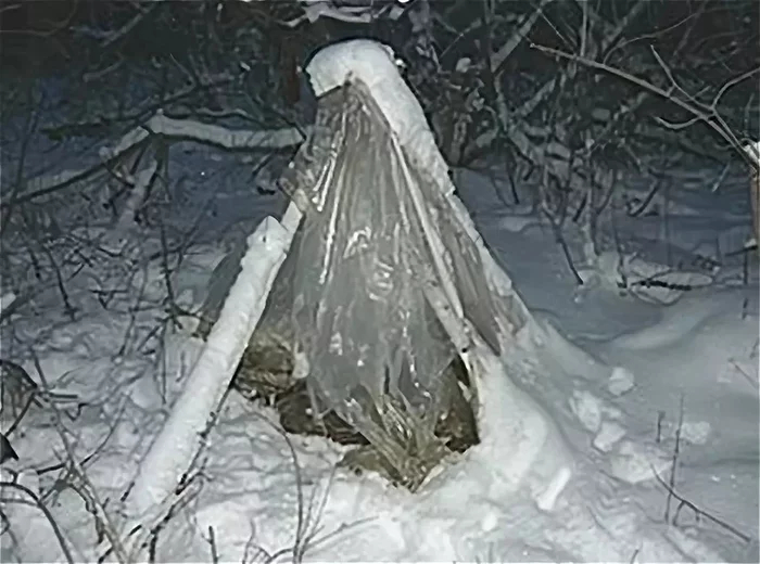 Ответ на пост «Раз так много комментариев в духе "иди работай", "хочешь на всё готовое", "сделай всё сам", я согласен,»