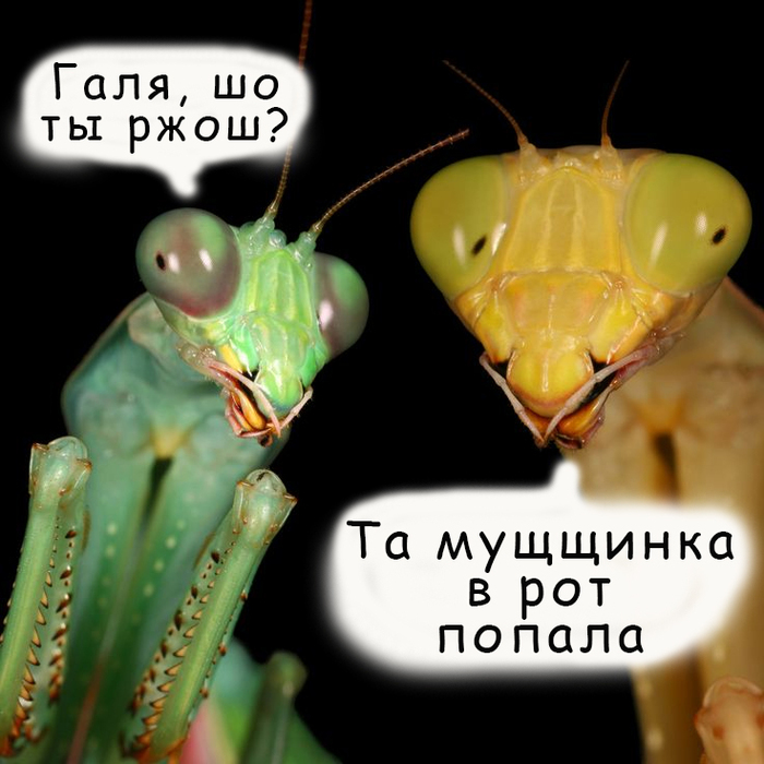   ,   , , , 