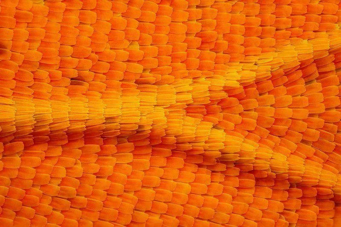 Легендарное бабушкино одеяло под лупой