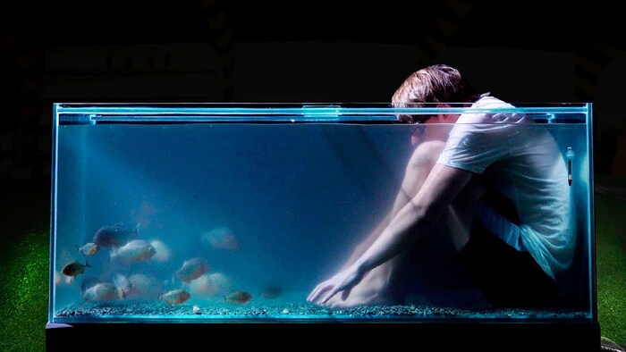 Аквариум для человека