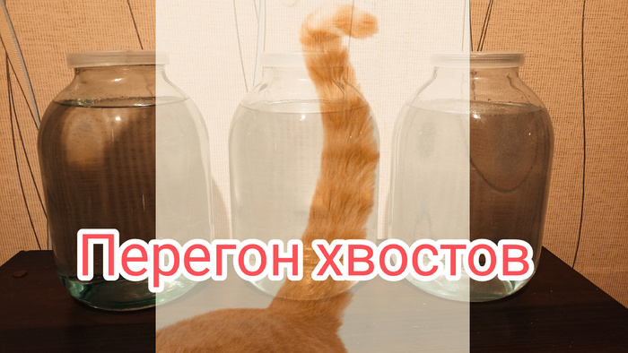   "".  ! , , ,  , , , 