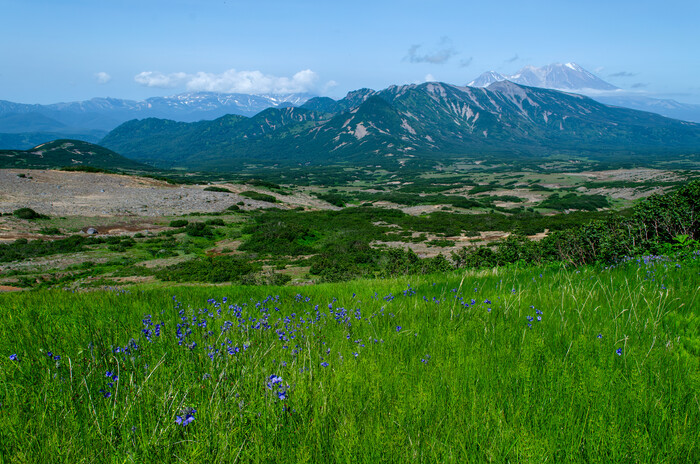 Северо-западный склон Корякского вулкана