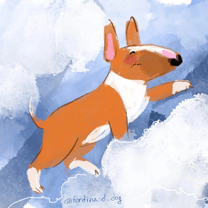 Свежий снежок, прыг-скок!