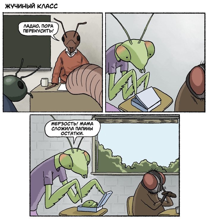 Домашняя еда