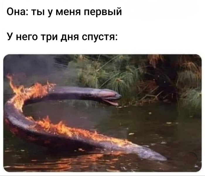 На злобу дня