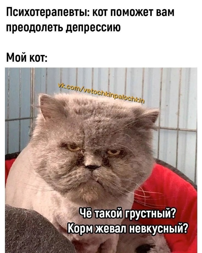 ׸ ����� ��������?