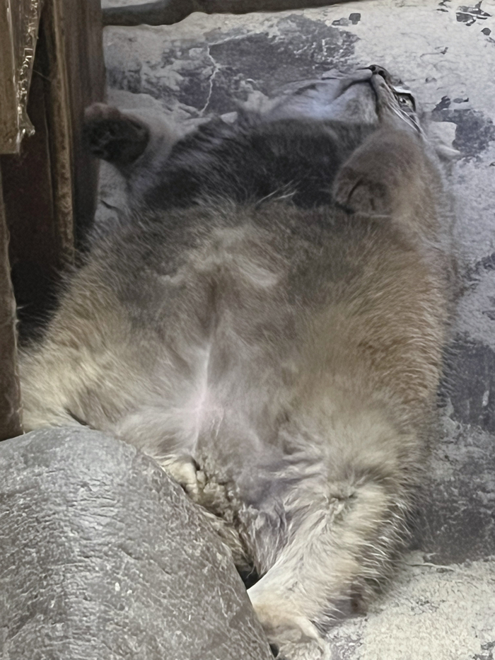 Уже пора начинать худеть к лету или уже поздно?