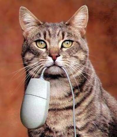 �������� ���������