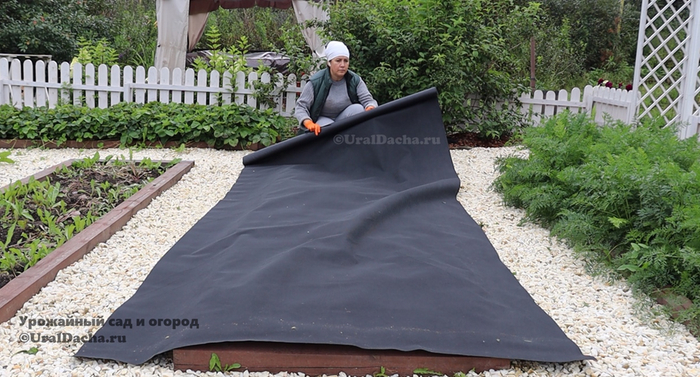 канал "Урожайный сад и огород"