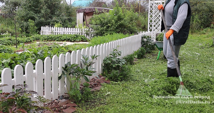 ©<!--noindex--><a href="https://pikabu.ru/story/sdelala_bordyurnyie_gryadki_v_ogorode_kakie_minusyi_i_plyusyi_obnaruzhila_cherez_neskolko_let_12361902?u=http%3A%2F%2FUralDacha.ru&t=UralDacha.ru&h=ececafad2fd7654ec2e41fd26cf547b722d8b688" title="http://UralDacha.ru" target="_blank" rel="nofollow noopener">UralDacha.ru</a><!--/noindex-->