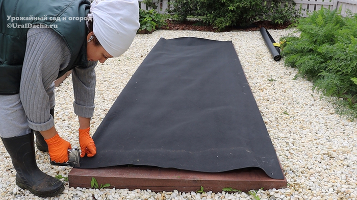 ©<!--noindex--><a href="https://pikabu.ru/story/sdelala_bordyurnyie_gryadki_v_ogorode_kakie_minusyi_i_plyusyi_obnaruzhila_cherez_neskolko_let_12361902?u=http%3A%2F%2FUralDacha.ru&t=UralDacha.ru&h=ececafad2fd7654ec2e41fd26cf547b722d8b688" title="http://UralDacha.ru" target="_blank" rel="nofollow noopener">UralDacha.ru</a><!--/noindex-->