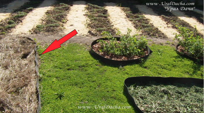 Лента иногда летом деформируется при высокой температуре