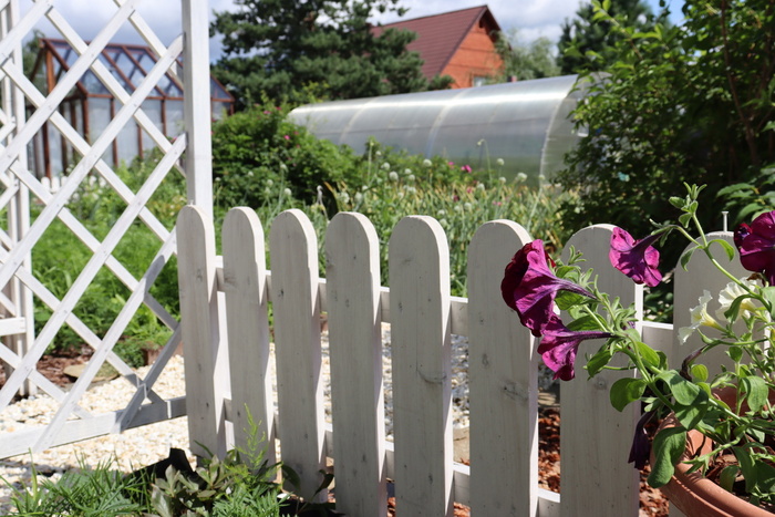 Наш огород в стиле Прованс - канал "Урожайный сад и огород"