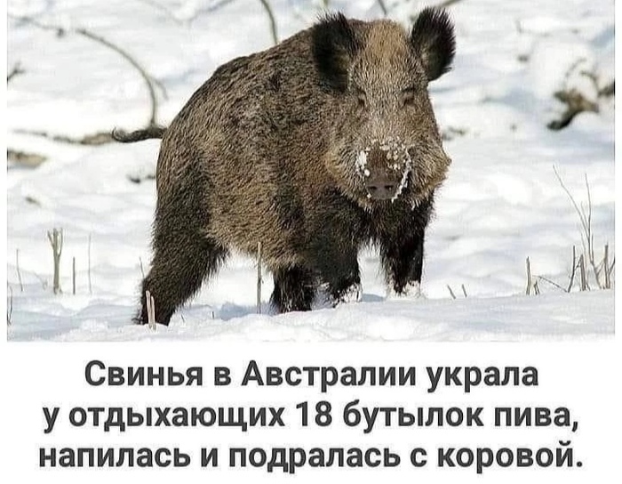  ...     :