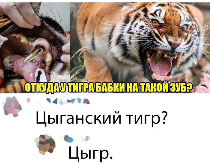 Цыгр